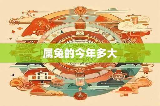 属兔的今年多大