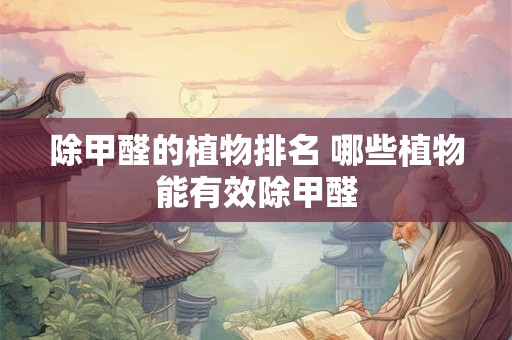 除甲醛的植物排名 哪些植物能有效除甲醛