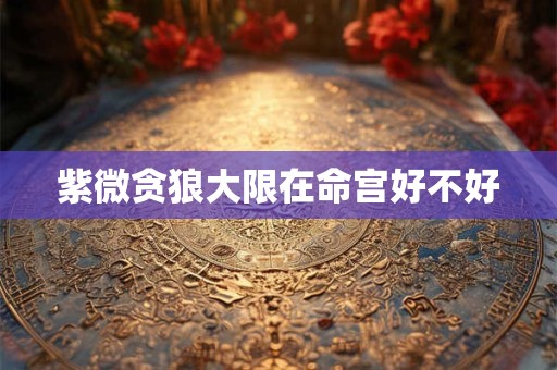 紫微贪狼大限在命宫好不好