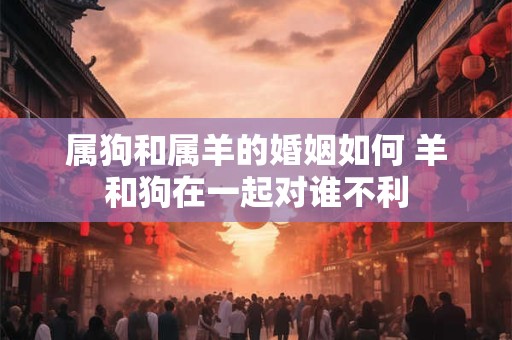 属狗和属羊的婚姻如何 羊和狗在一起对谁不利