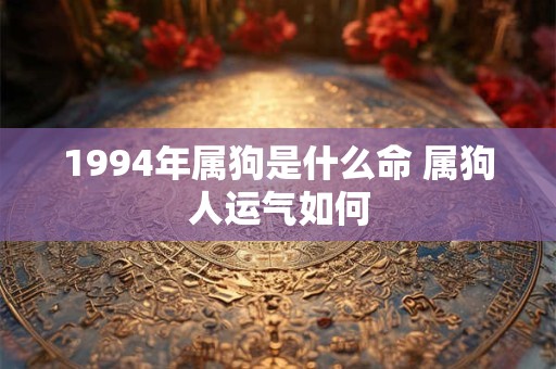1994年属狗是什么命 属狗人运气如何 1994年属狗是什么命 属狗人运气如何