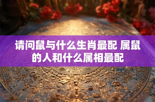 请问鼠与什么生肖最配 属鼠的人和什么属相最配