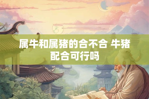 属牛和属猪的合不合 牛猪配合可行吗