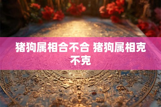 猪狗属相合不合 猪狗属相克不克