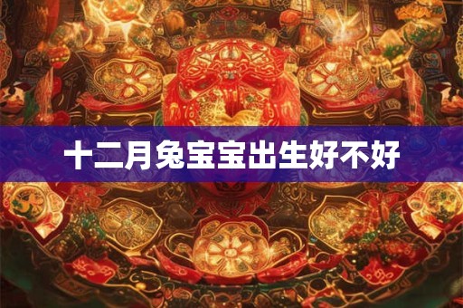 十二月兔宝宝出生好不好