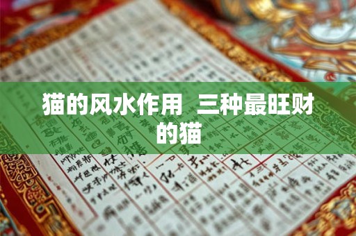 猫的风水作用  三种最旺财的猫