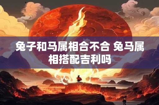 兔子和马属相合不合 兔马属相搭配吉利吗