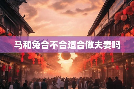马和兔合不合适合做夫妻吗
