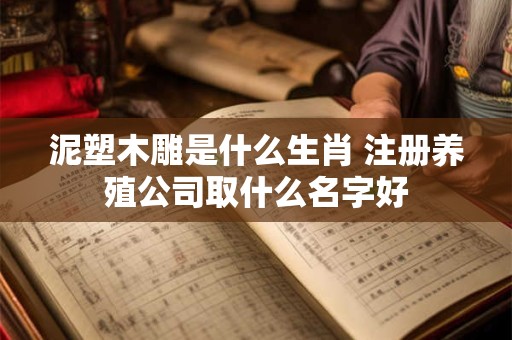 泥塑木雕是什么生肖 注册养殖公司取什么名字好