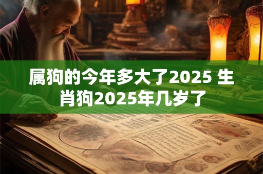 属狗的今年多大了2025 生肖狗2025年几岁了