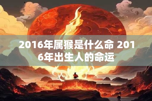 2016年属猴是什么命 2016年出生人的命运