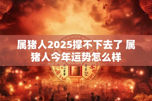 属猪人2025撑不下去了 属猪人今年运势怎么样