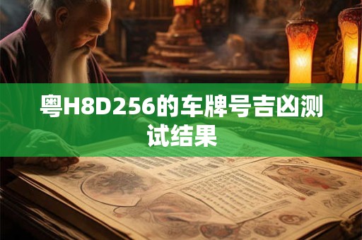 粤H8D256的车牌号吉凶测试结果