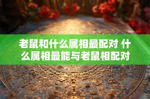 详细阅读:老鼠和什么属相最配对 什么属相最能与老鼠相配对 老鼠和什么属相最配对 什么属相最能与老鼠相配对