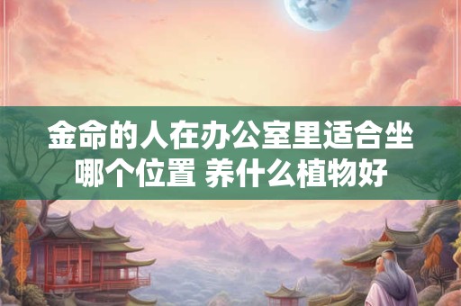 金命的人在办公室里适合坐哪个位置 养什么植物好