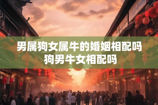 男属狗女属牛的婚姻相配吗 狗男牛女相配吗