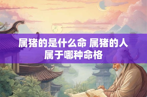属猪的是什么命 属猪的人属于哪种命格