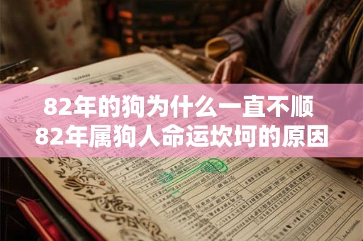 82年的狗为什么一直不顺 82年属狗人命运坎坷的原因