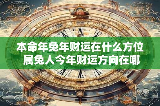 本命年兔年财运在什么方位 属兔人今年财运方向在哪里