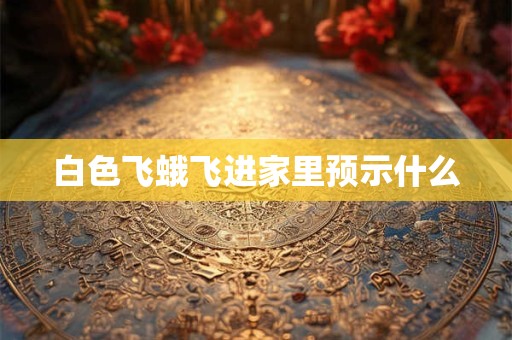 白色飞蛾飞进家里预示什么