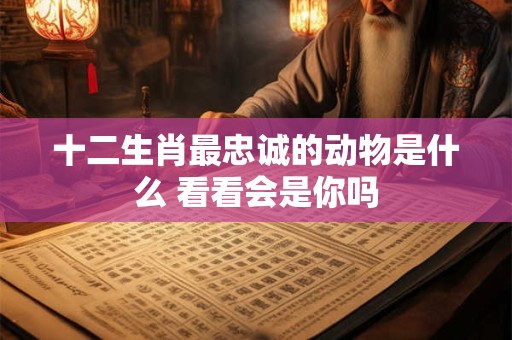 十二生肖最忠诚的动物是什么 看看会是你吗