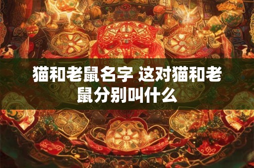 猫和老鼠名字 这对猫和老鼠分别叫什么