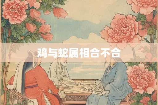 鸡与蛇属相合不合