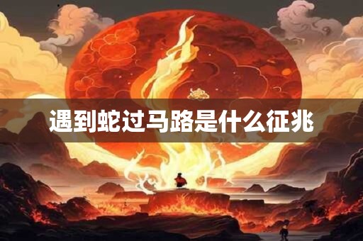 遇到蛇过马路是什么征兆