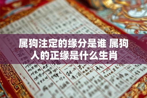属狗注定的缘分是谁 属狗人的正缘是什么生肖