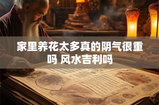 家里养花太多真的阴气很重吗 风水吉利吗
