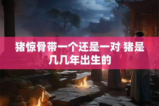 猪惊骨带一个还是一对 猪是几几年出生的