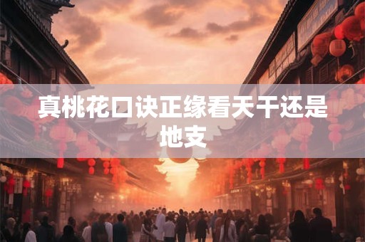 真桃花口诀正缘看天干还是地支