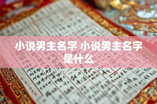 小说男主名字 小说男主名字是什么