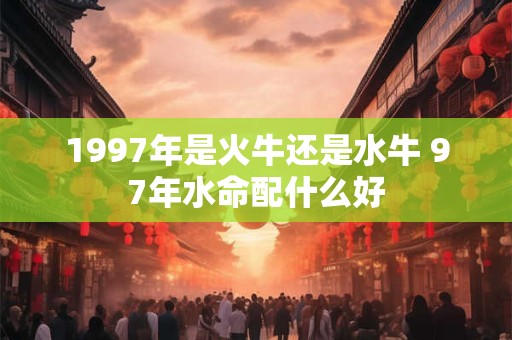 1997年是火牛还是水牛 97年水命配什么好