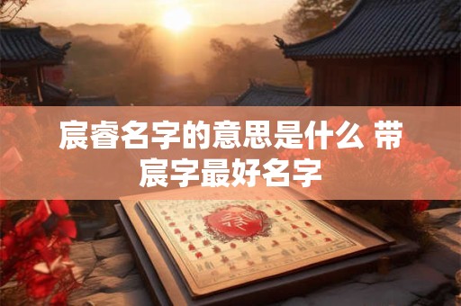 宸睿名字的意思是什么 带宸字最好名字