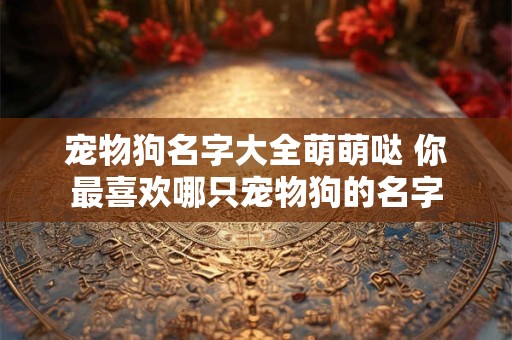 宠物狗名字大全萌萌哒 你最喜欢哪只宠物狗的名字