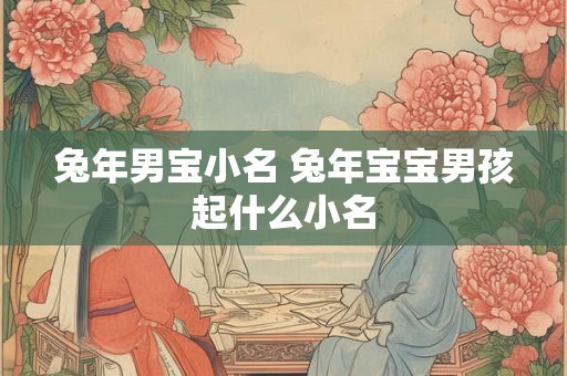 兔年男宝小名 兔年宝宝男孩起什么小名