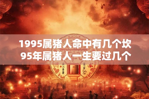 1995属猪人命中有几个坎 95年属猪人一生要过几个难关