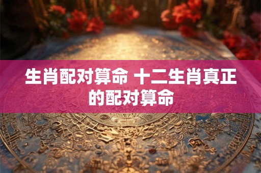 生肖配对算命 十二生肖真正的配对算命