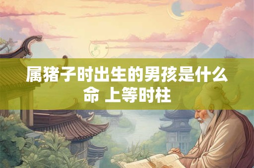 属猪子时出生的男孩是什么命 上等时柱
