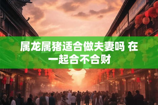 属龙属猪适合做夫妻吗 在一起合不合财