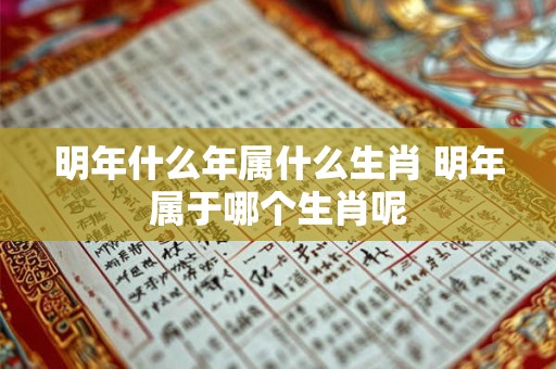 明年什么年属什么生肖 明年属于哪个生肖呢