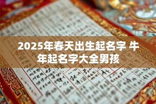 2025年春天出生起名字 牛年起名字大全男孩