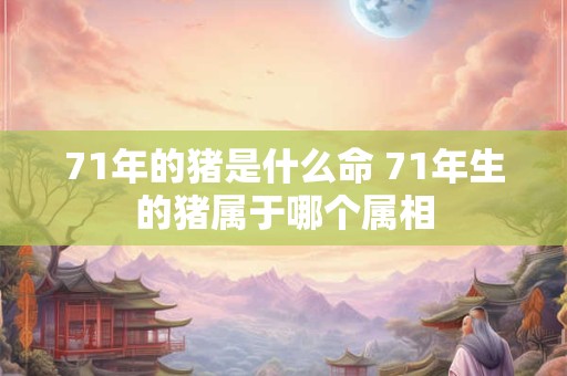 71年的猪是什么命 71年生的猪属于哪个属相