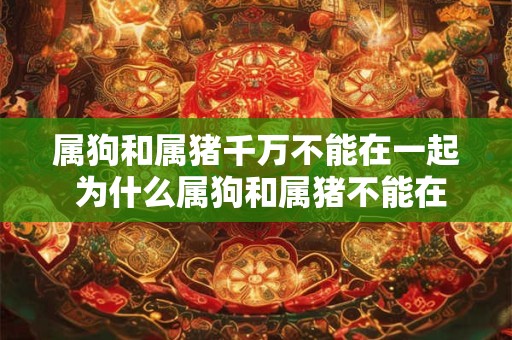 属狗和属猪千万不能在一起 为什么属狗和属猪不能在一起