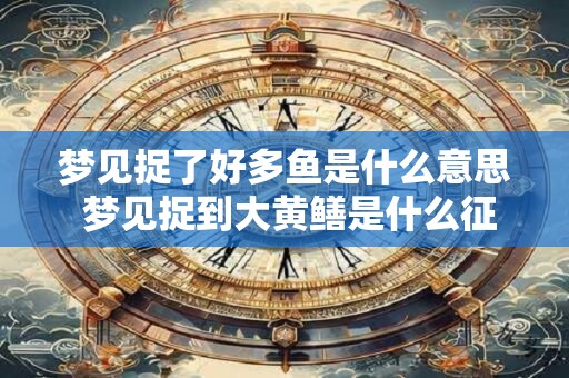 梦见捉了好多鱼是什么意思 梦见捉到大黄鳝是什么征兆