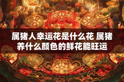 属猪人幸运花是什么花 属猪养什么颜色的鲜花能旺运