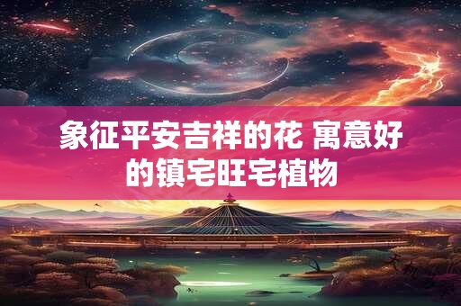 象征平安吉祥的花 寓意好的镇宅旺宅植物