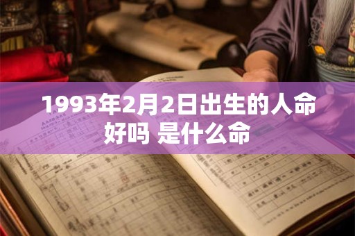 1993年2月2日出生的人命好吗 是什么命