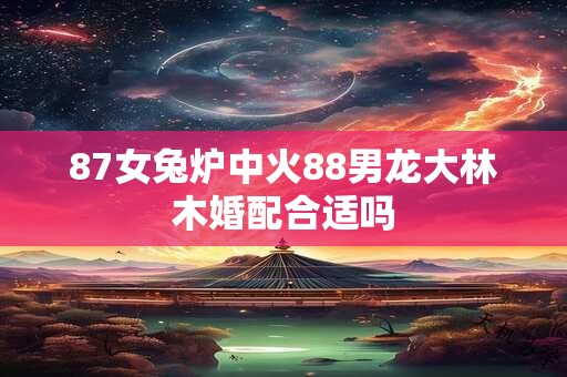 87女兔炉中火88男龙大林木婚配合适吗